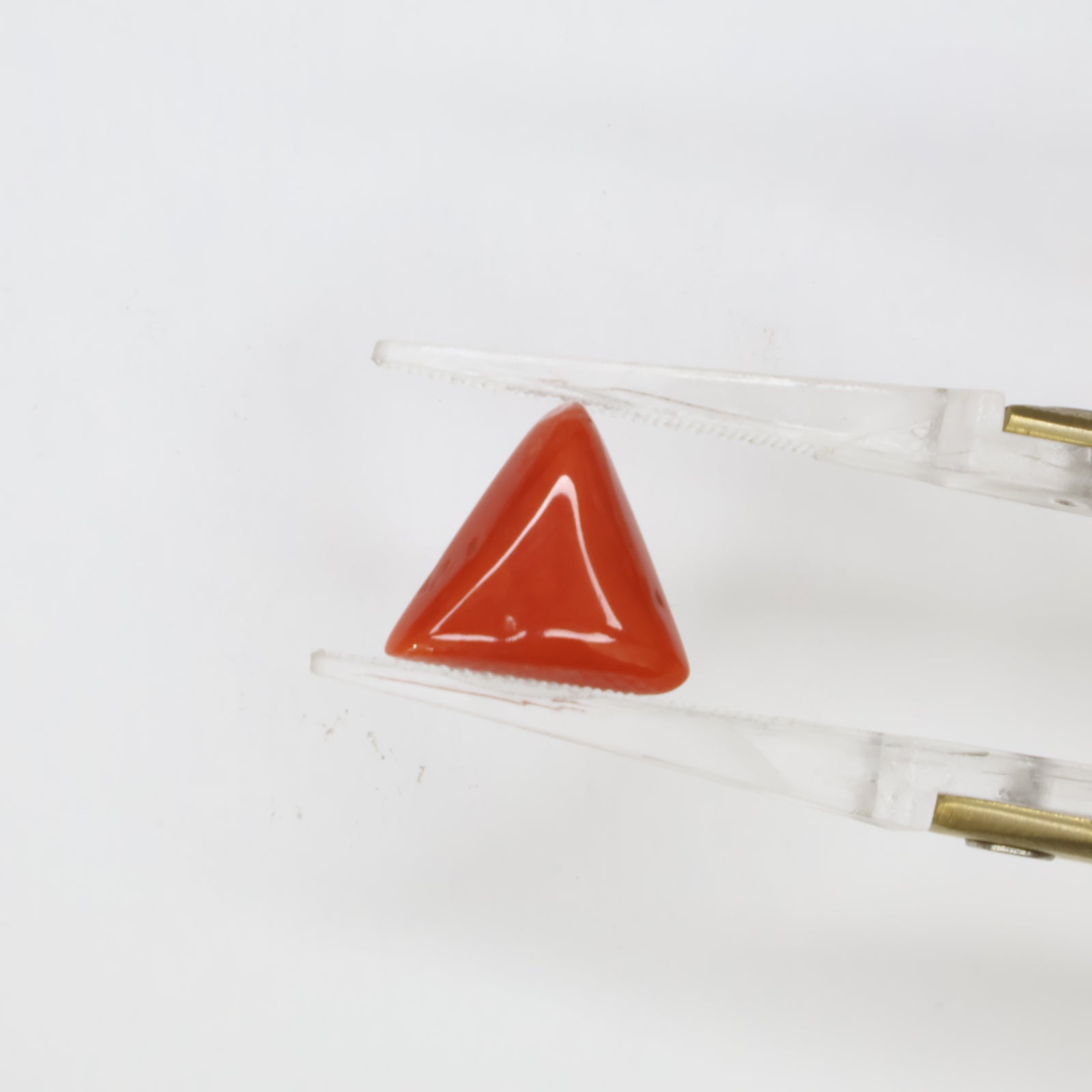 Natural Red Coral (Munga) 4.00ct
