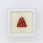 Natural Red Coral (Munga) 4.32ct