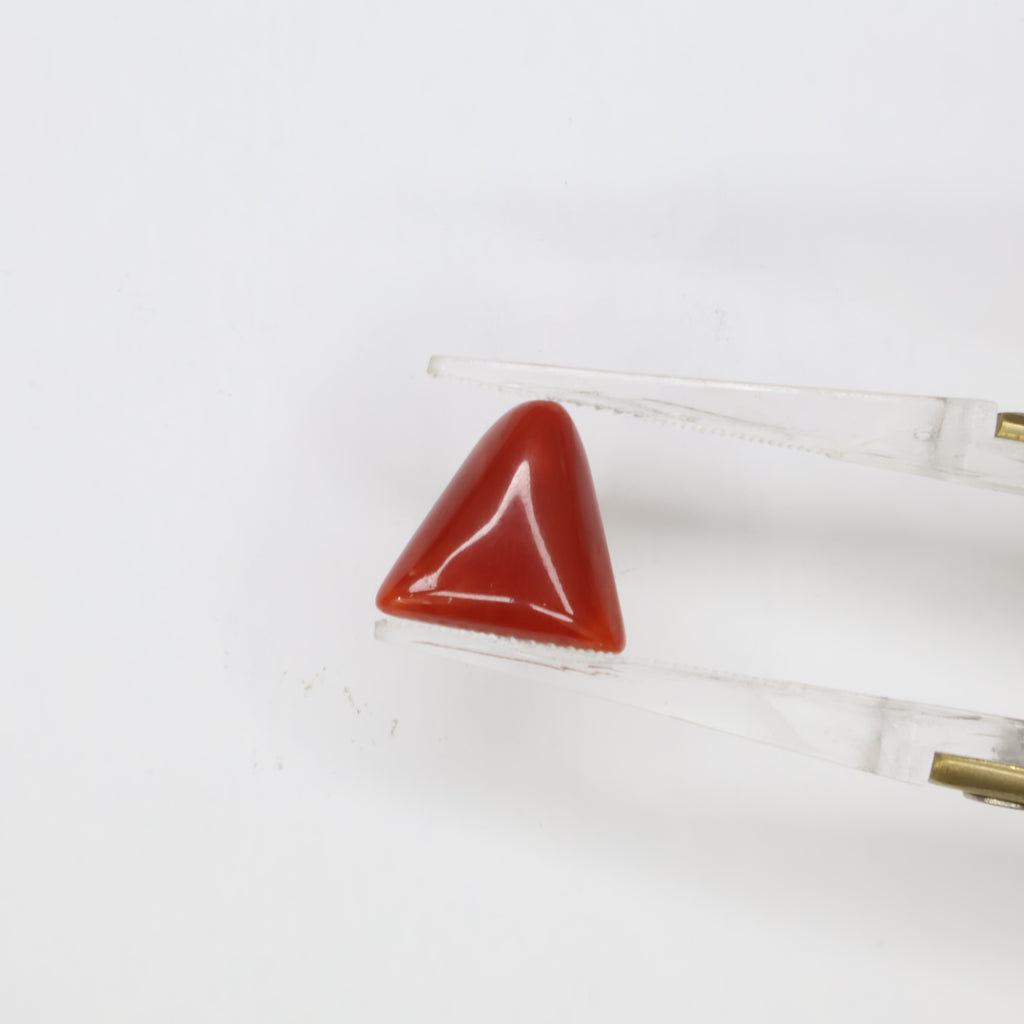 Natural Red Coral (Munga) 4.32ct