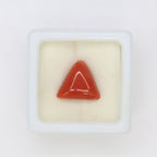 Natural Red Coral (Munga) 5.90ct