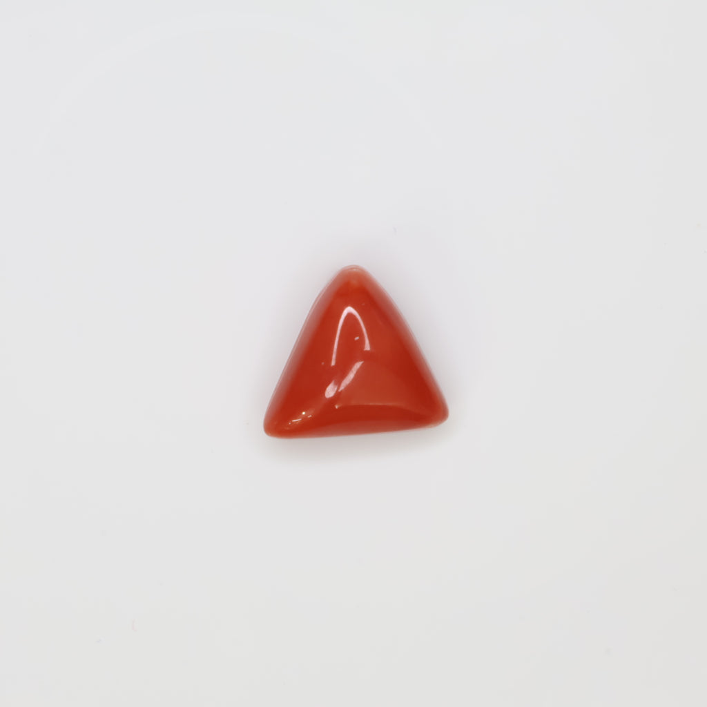 Natural Red Coral (Munga) 5.90ct