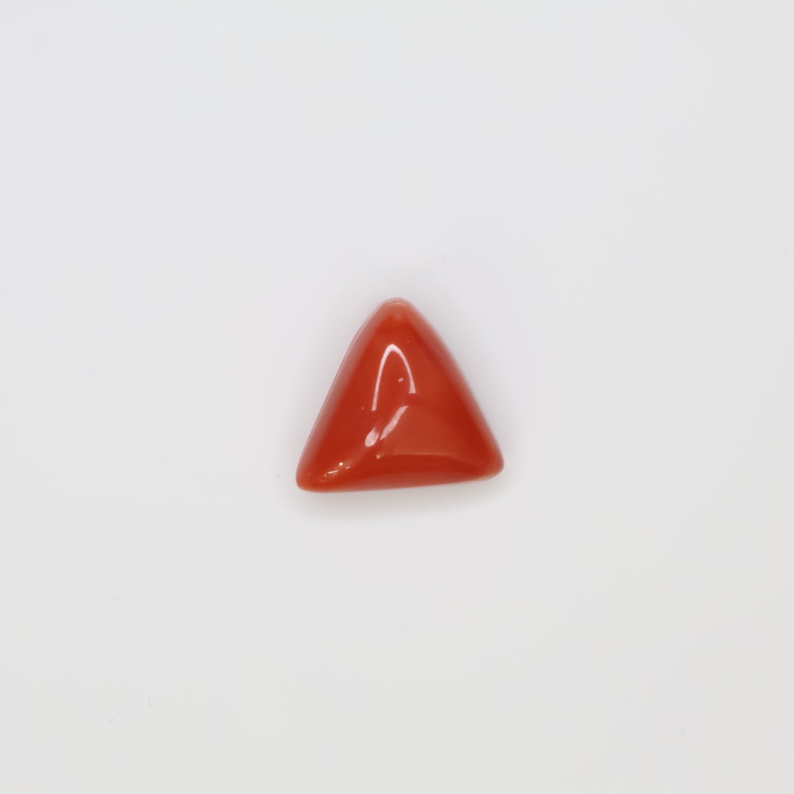 Natural Red Coral (Munga) 5.90ct
