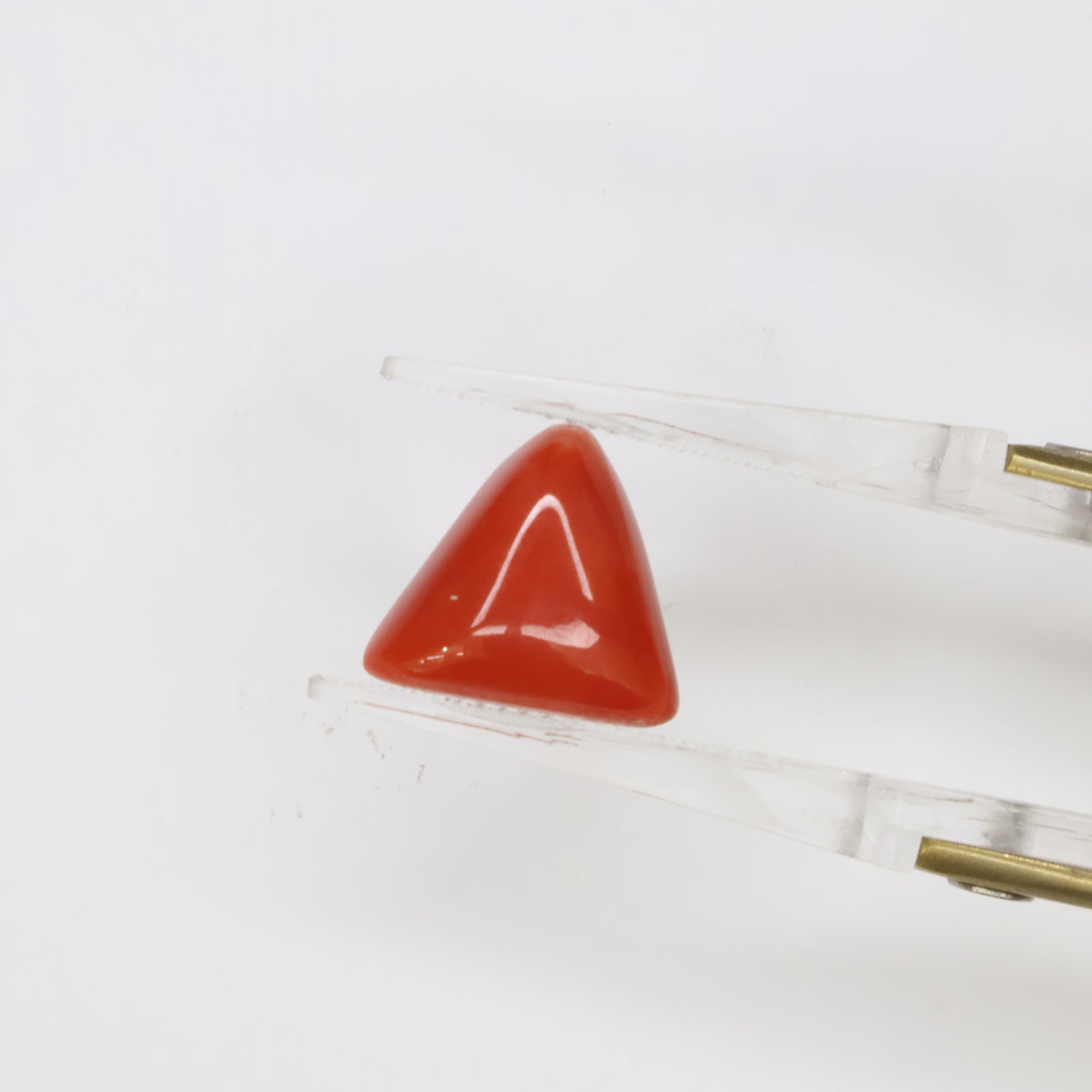 Natural Red Coral (Munga) 5.90ct
