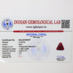 Natural Red Coral (Munga) 4.32ct