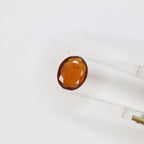 Natural Hessonite (Gomed) 3.04ct