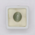 Natural Cat's Eye 6.72ct