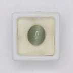 Natural Cat's Eye 6.72ct