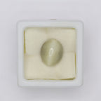 Natural Cat's Eye 7.09ct