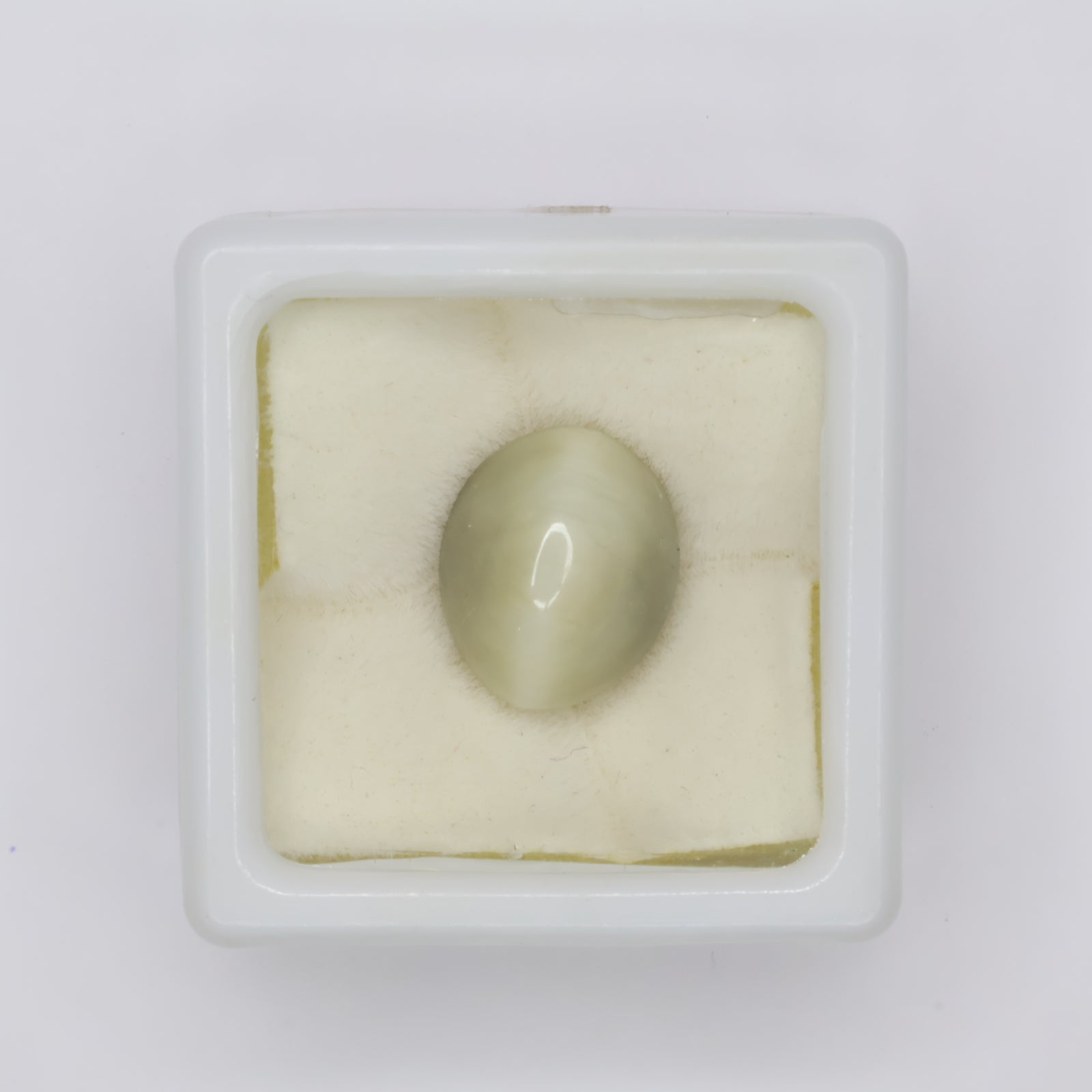 Natural Cat's Eye 7.09ct