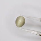 Natural Cat's Eye 7.09ct