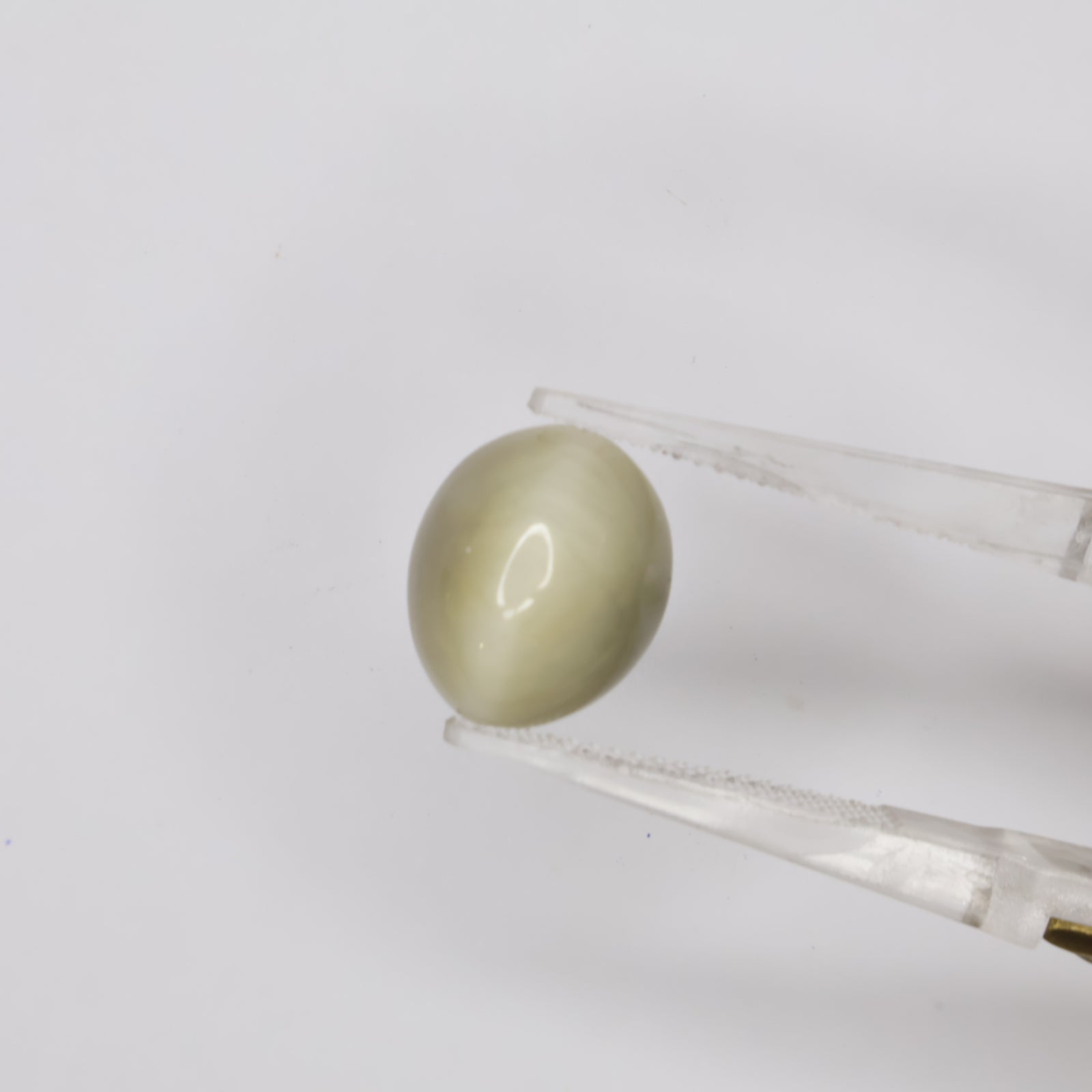 Natural Cat's Eye 7.09ct