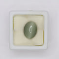 Natural Cat's Eye 7.50ct