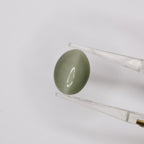 Natural Cat's Eye 7.50ct