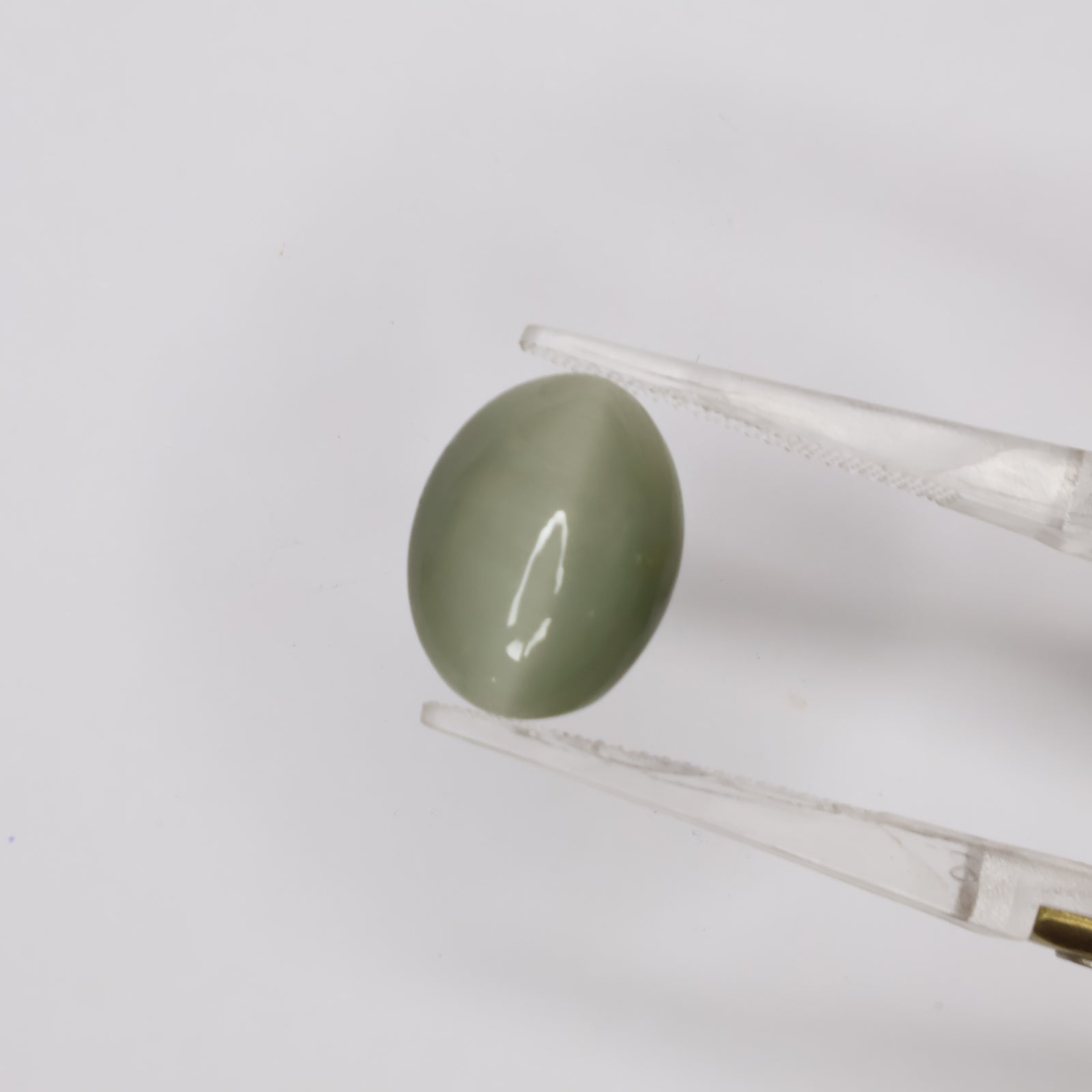 Natural Cat's Eye 7.50ct