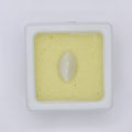 Natural Cat's Eye 2.88ct