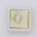 Natural Cat's Eye 7.54ct