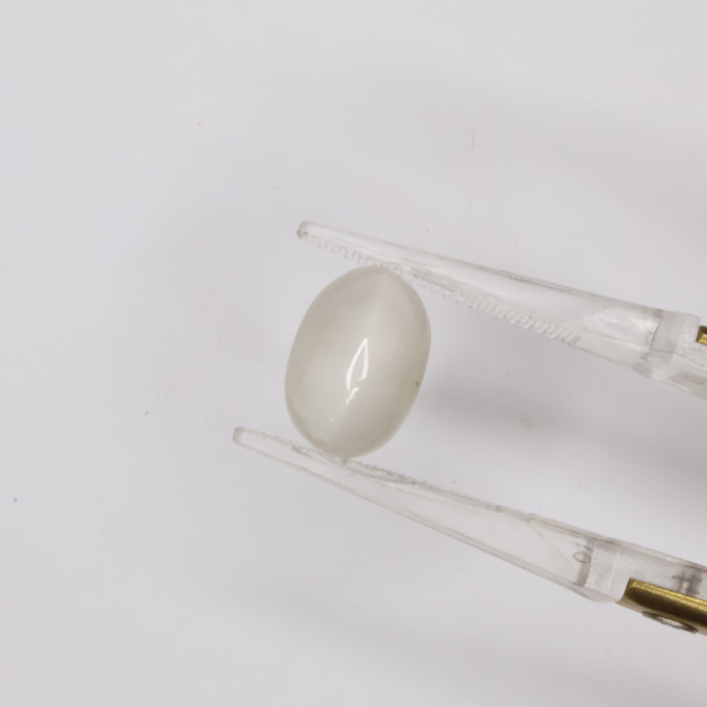 Natural Cat's Eye 7.54ct