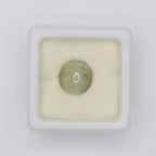 Natural Cat's Eye 3.74ct