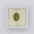 Natural Cat's Eye 4.90ct