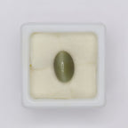 Natural Cat's Eye 3.73ct