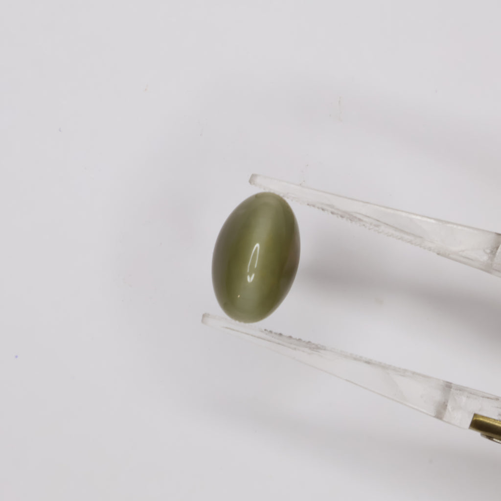 Natural Cat's Eye 3.73ct