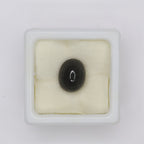 Natural Cat's Eye 5.00ct