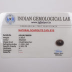 Natural Cat's Eye 5.00ct