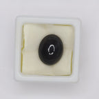 Natural Cat's Eye 8.92ct