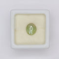 Natural Chrysoberyl Cat's Eye 2.98ct