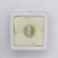Natural Chrysoberyl Cat's Eye 5.70ct