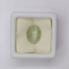 Natural Chrysoberyl Cat's Eye 7.84ct