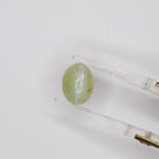 Natural Chrysoberyl Cat's Eye 7.84ct