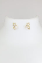 Premium Sterling Silver Earrings
