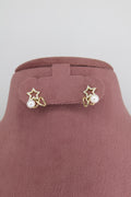 Premium Sterling Silver Earrings