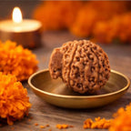 Natural Ganesh Rudraksha
